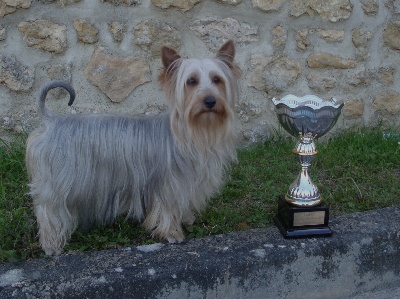 du parc Camilliacus - Dolwenn vice championne de France