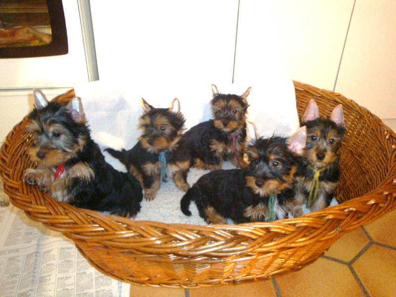 Les BB du 13 09 2011
